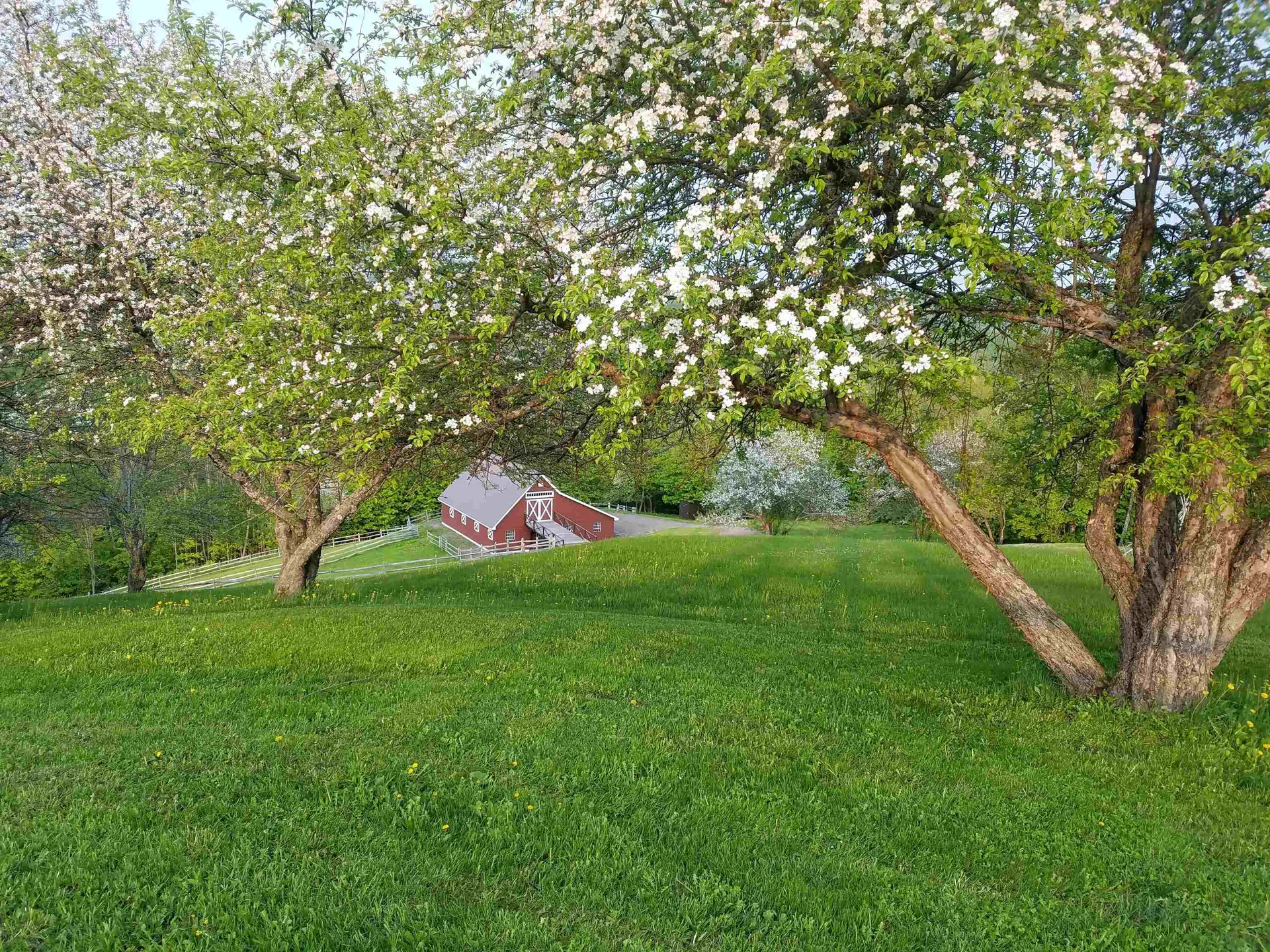 148 Bobbinshop Road Chelsea VT 05038