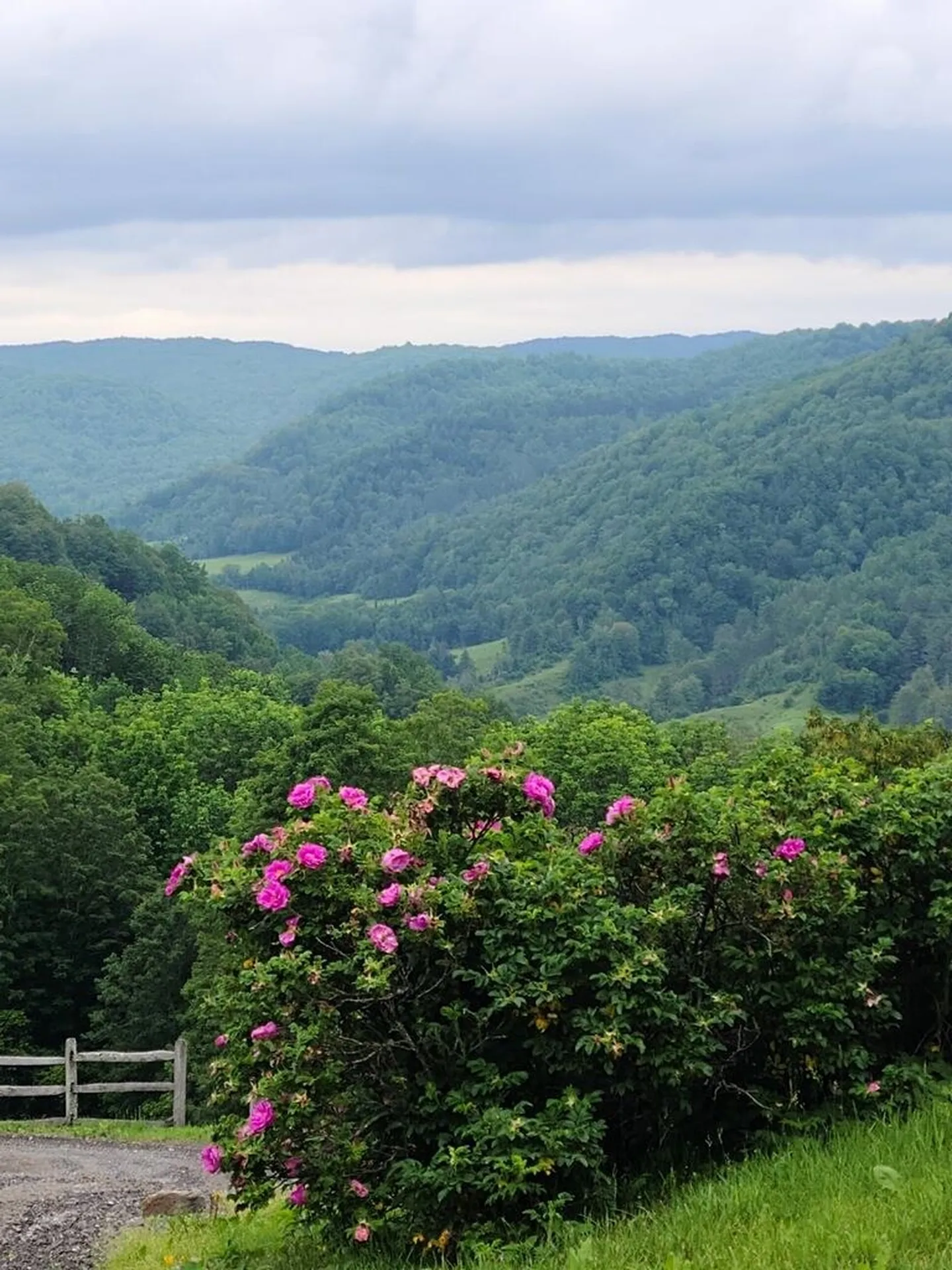 148 Bobbinshop Road Chelsea VT 05038