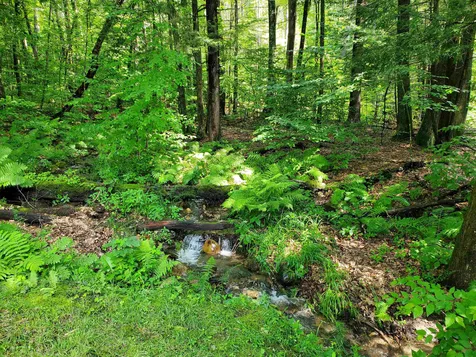 110 Beaver Pond Road Dummerston VT 05301