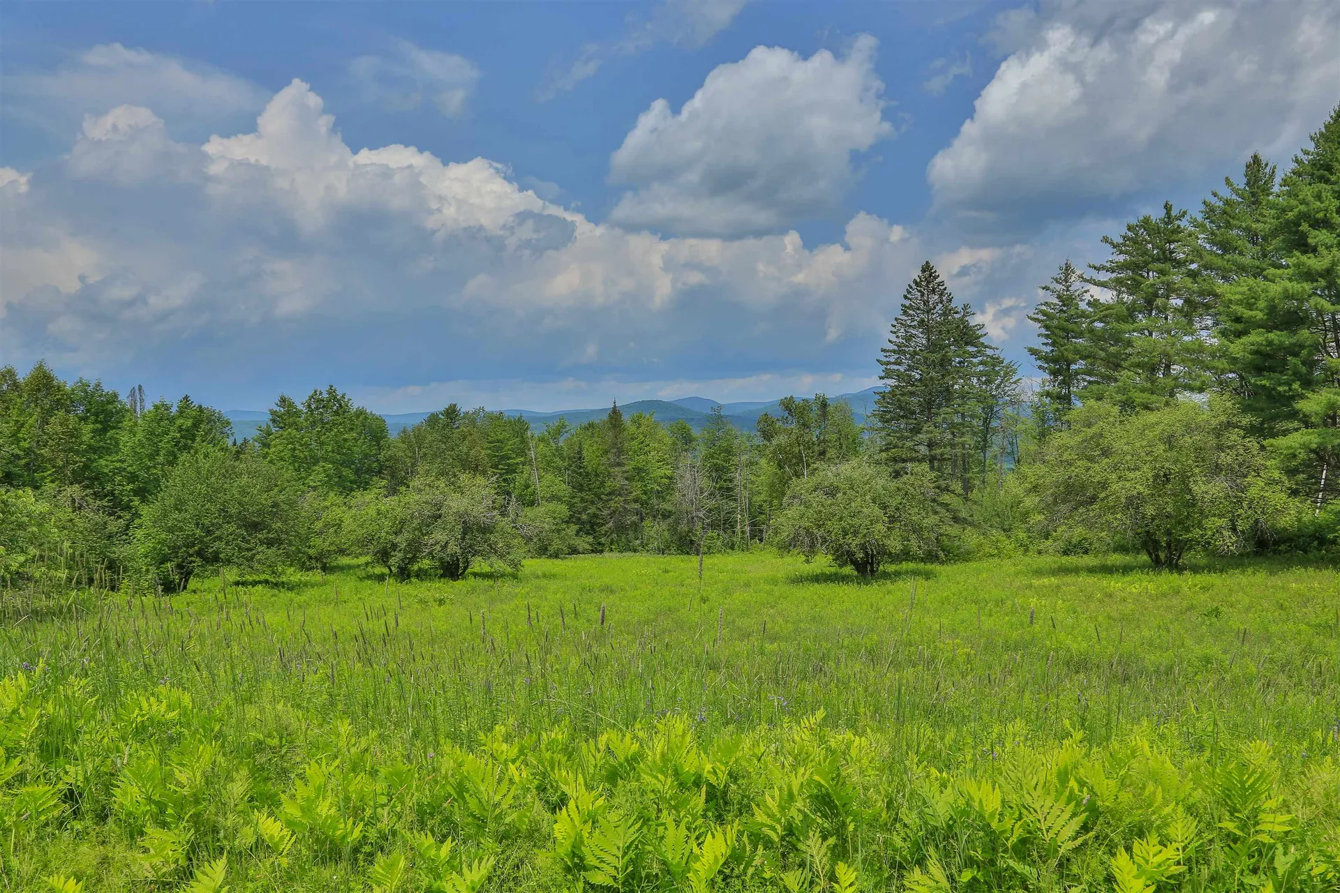 87 Buffalo Road Lancaster NH 03584