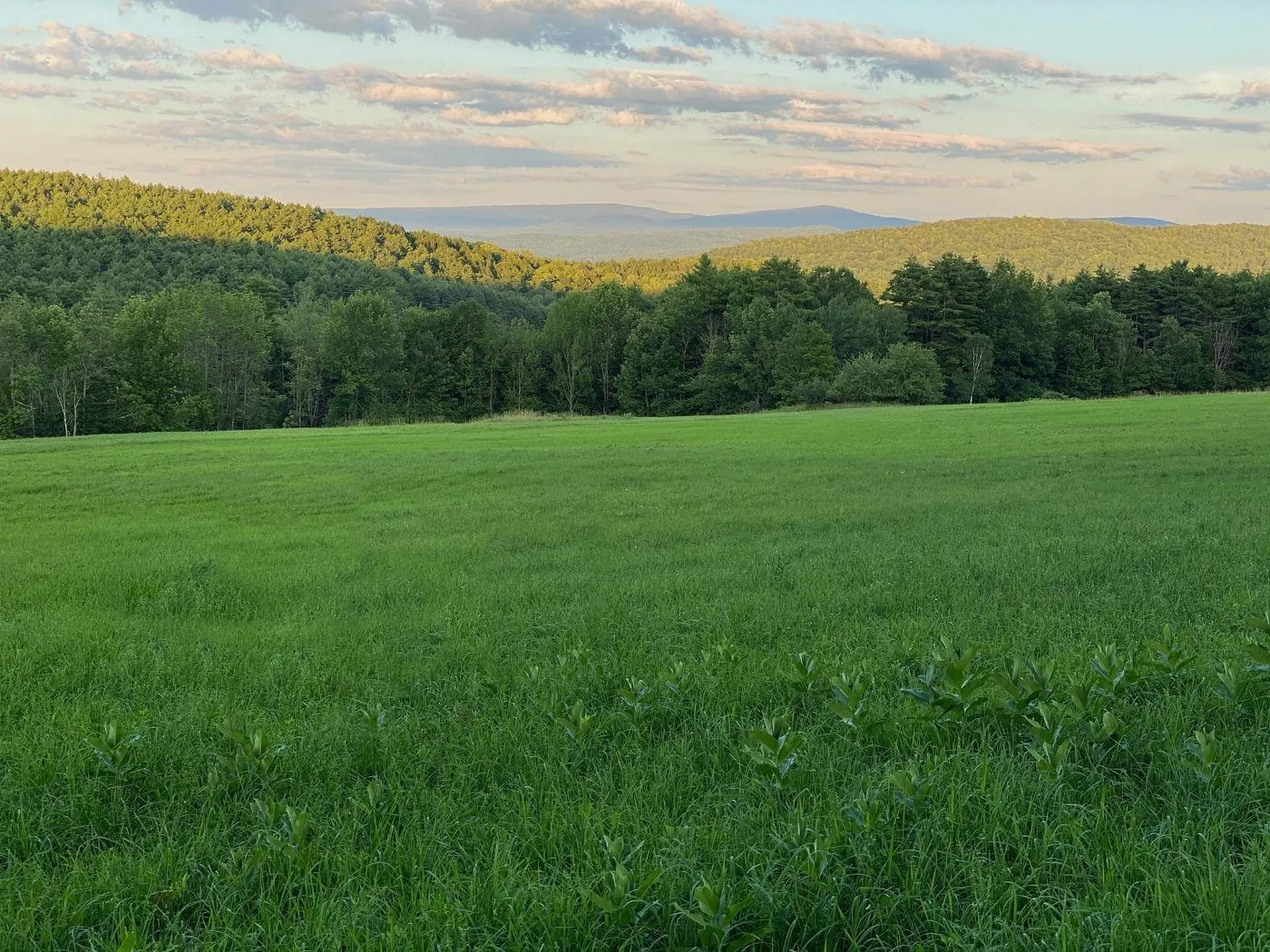 00 Weed Road Hartland VT 05048