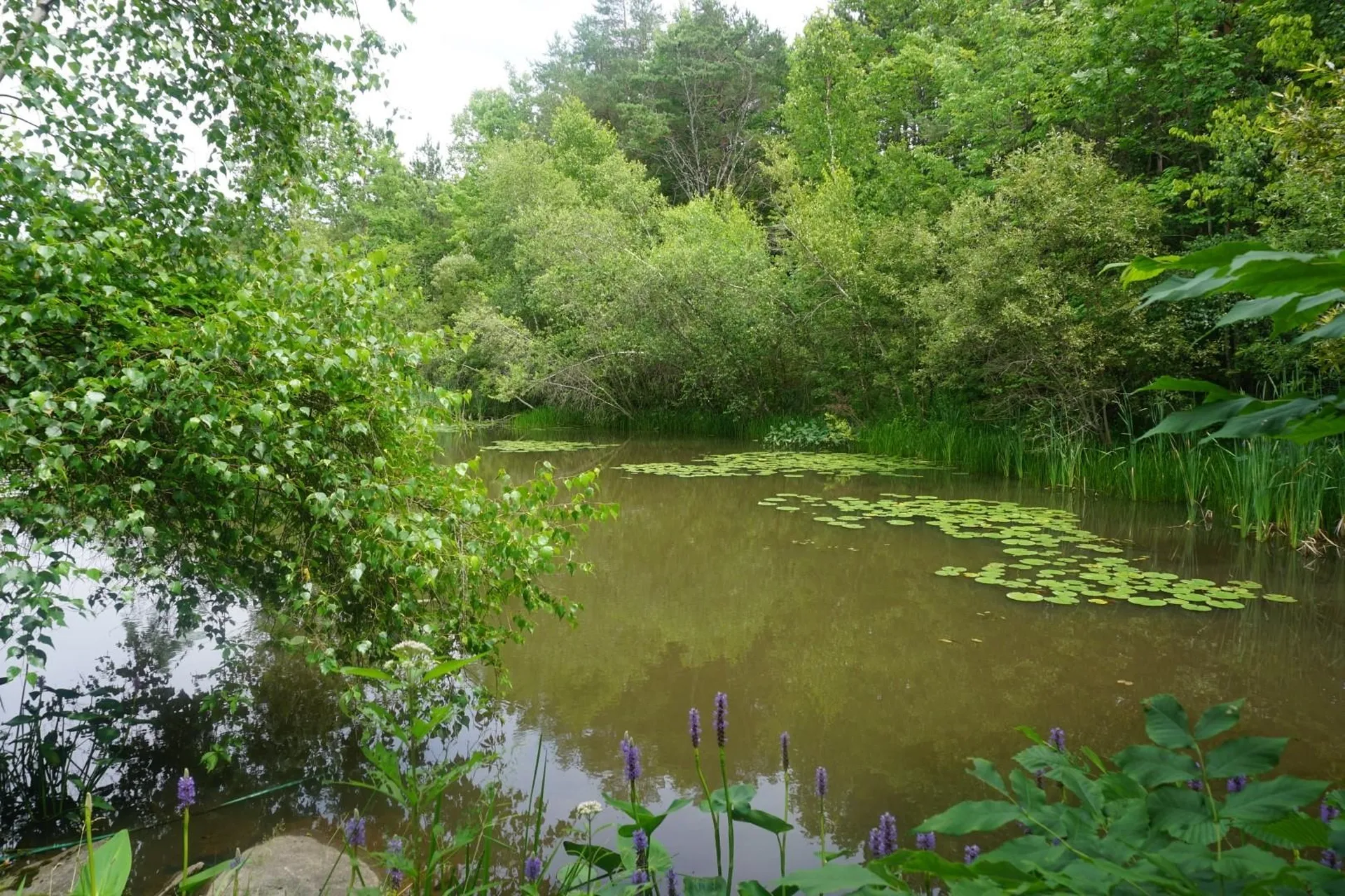 50 Meade Road Fairfax VT 05454