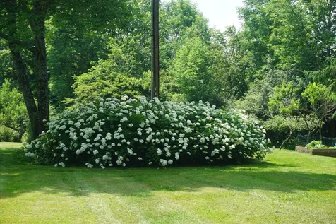 50 Meade Road Fairfax VT 05454