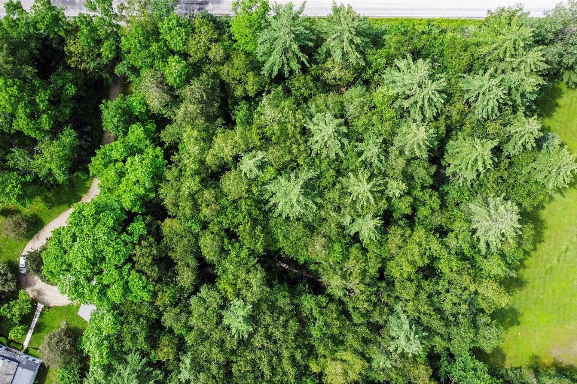 0 Dorset West Road Dorset VT 05251