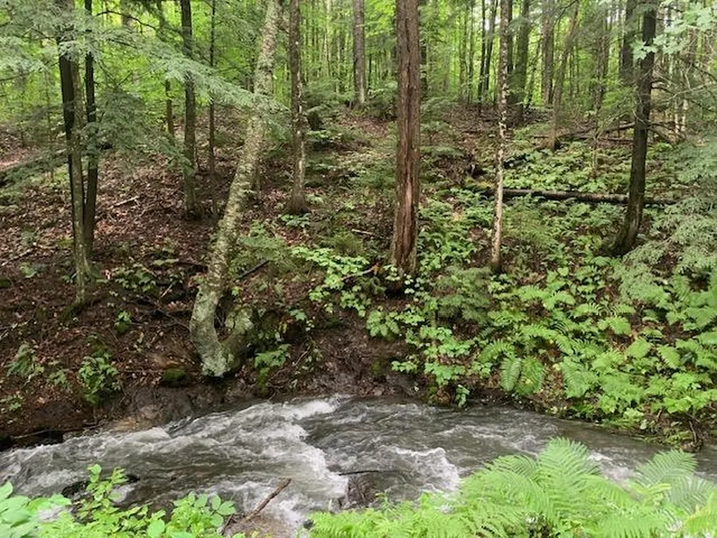 1844 Lime Pond Road Barnard VT 05031
