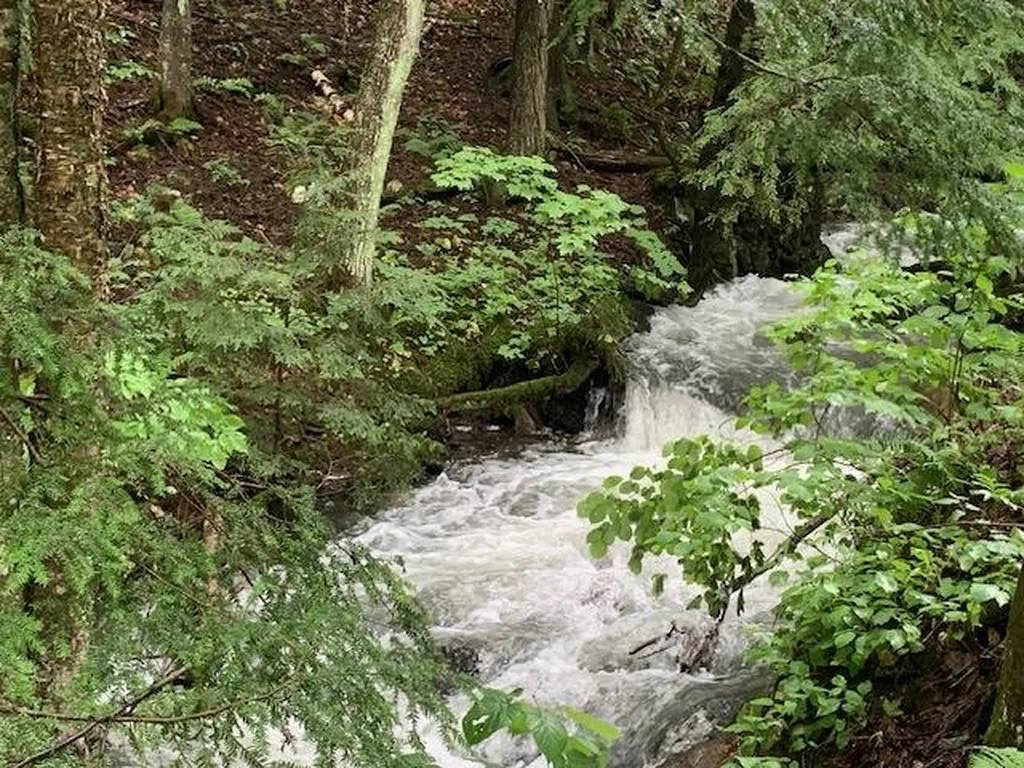 1844 Lime Pond Road Barnard VT 05031