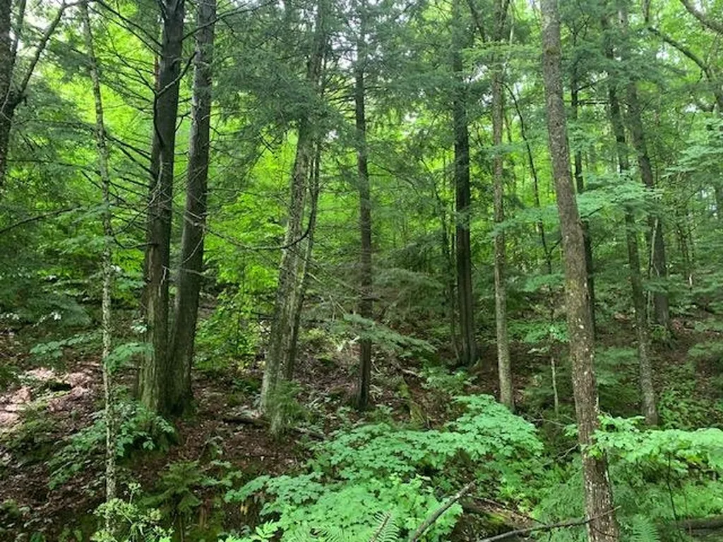 1844 Lime Pond Road Barnard VT 05031