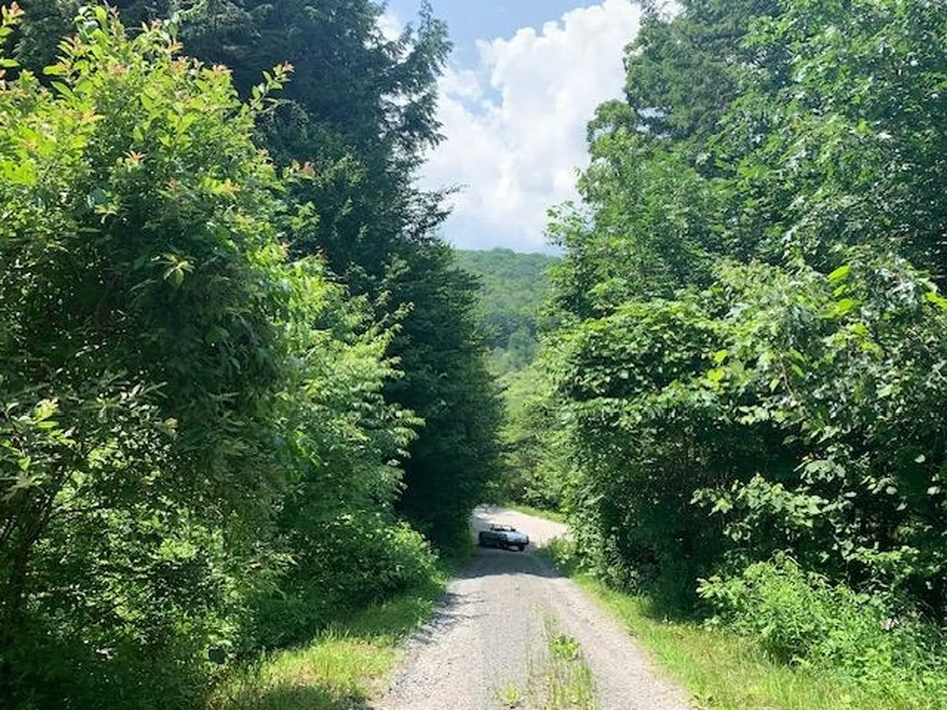 1844 Lime Pond Road Barnard VT 05031