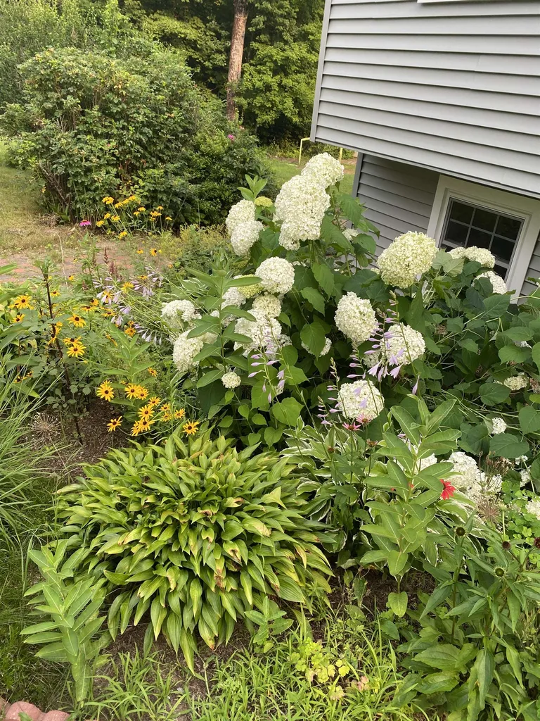 127 W Parish Road Concord NH 03303