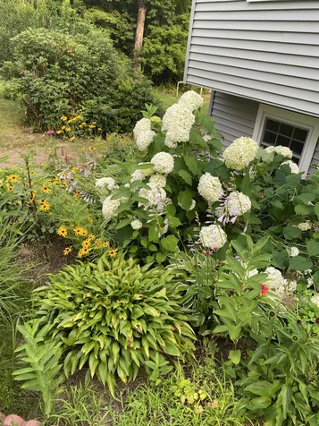 127 W Parish Road Concord NH 03303