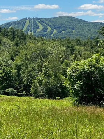 228 Foster Hill Road Henniker NH 03242