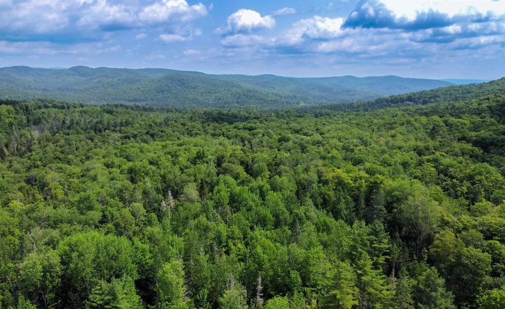 1100 Backway Road Corinth VT 05039