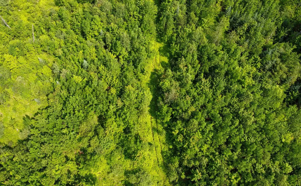 1100 Backway Road Corinth VT 05039