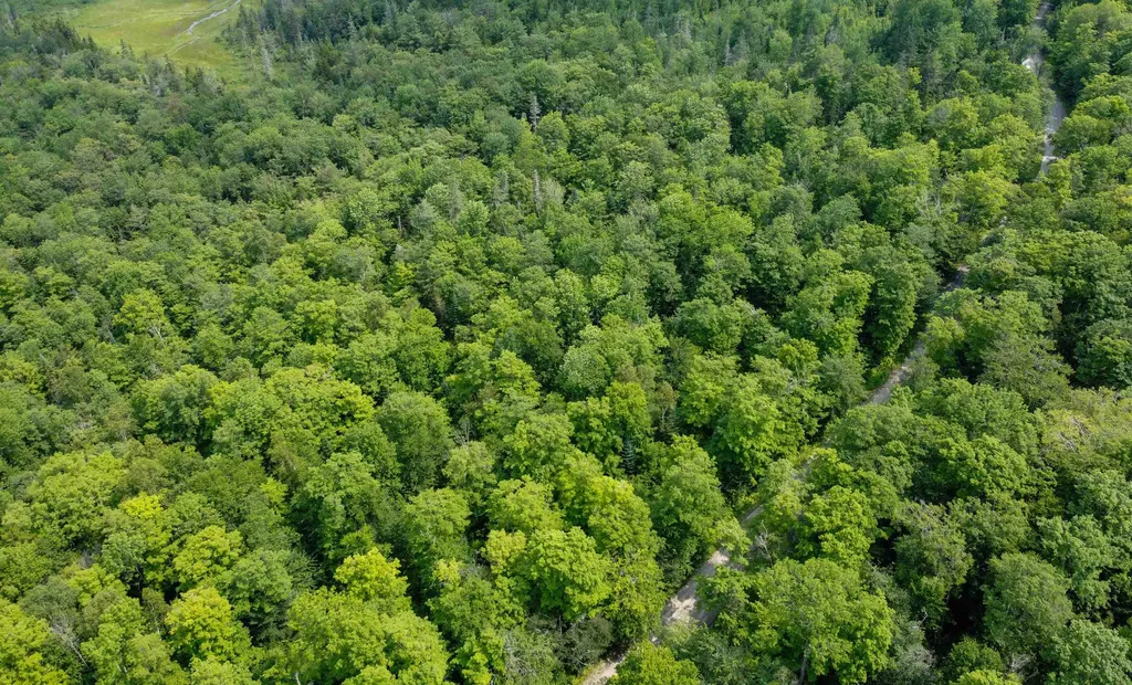 1100 Backway Road Corinth VT 05039