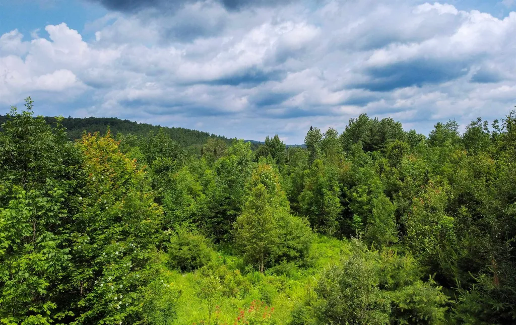 1100 Backway Road Corinth VT 05039