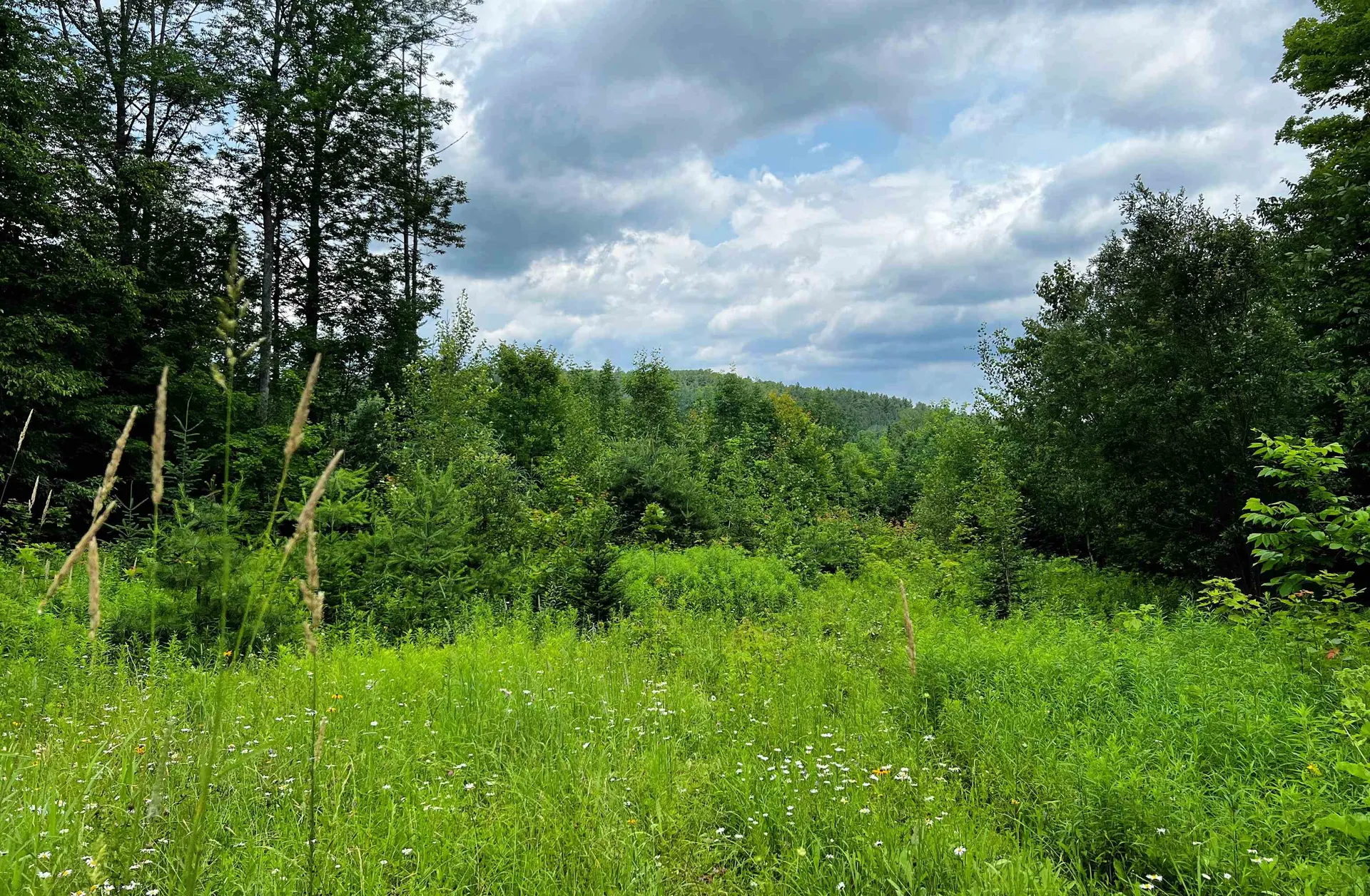 1100 Backway Road Corinth VT 05039