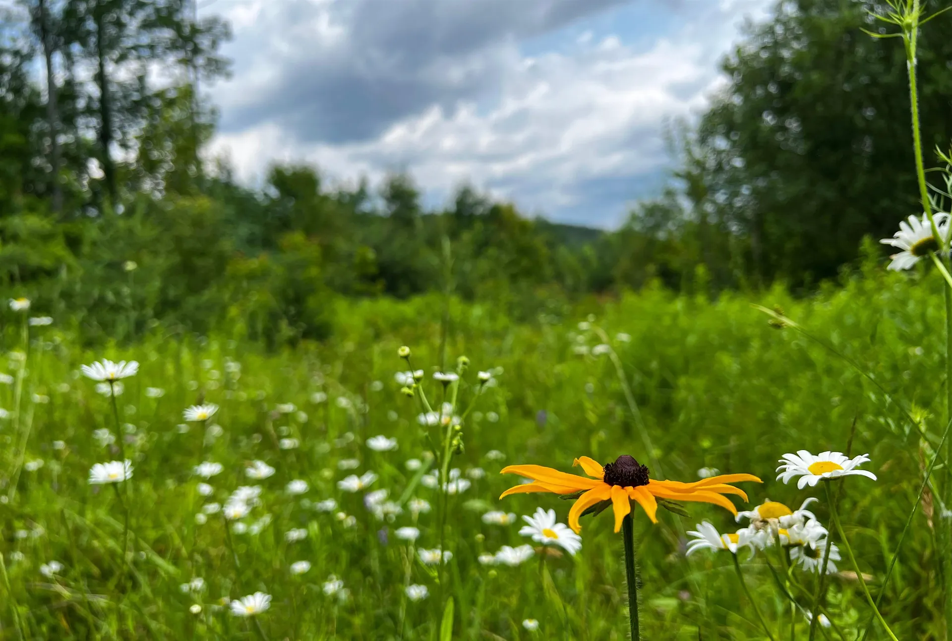 1100 Backway Road Corinth VT 05039