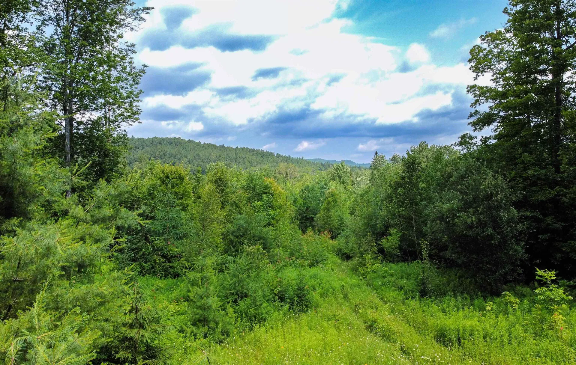 1100 Backway Road Corinth VT 05039