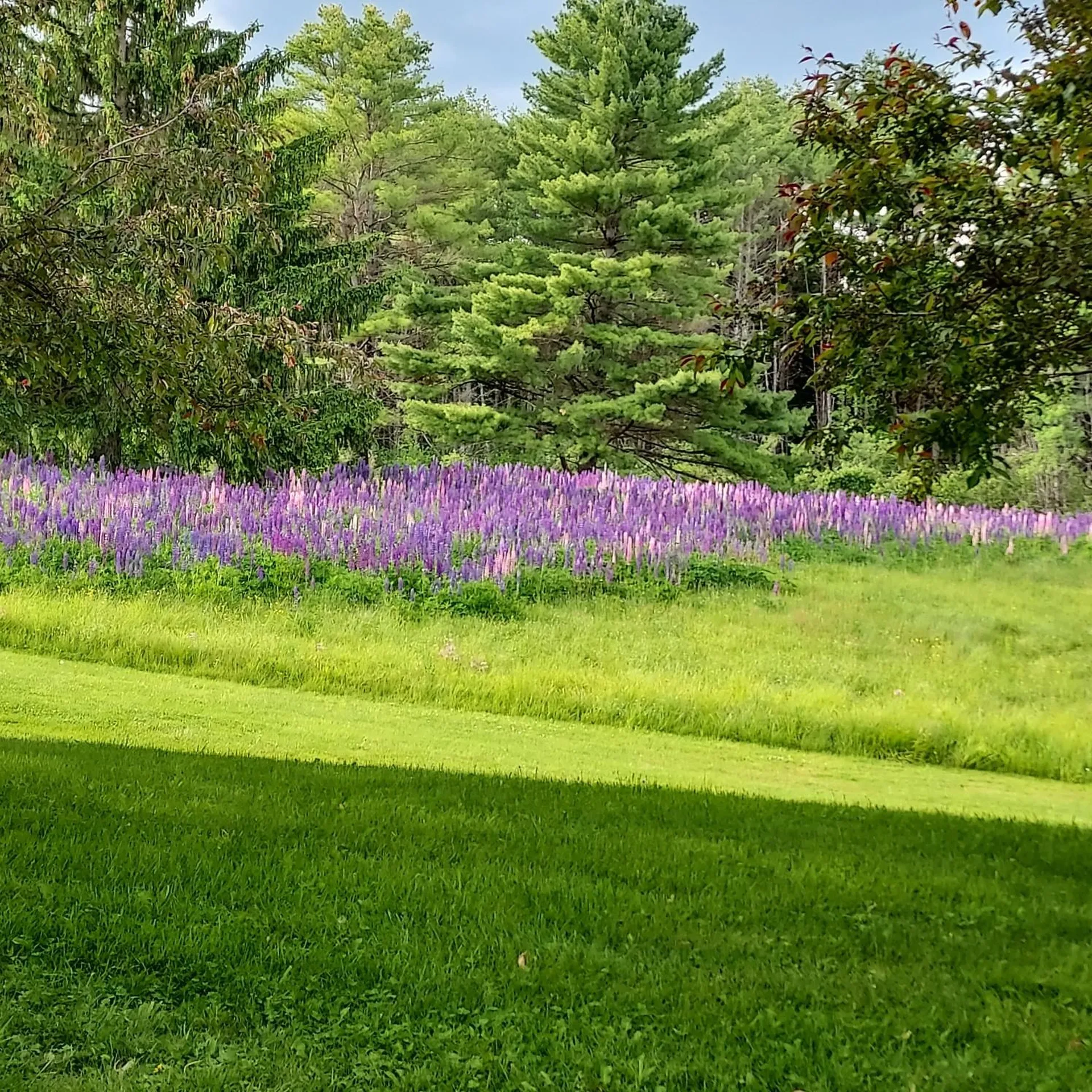 40 Norwich Meadows Norwich VT 05055