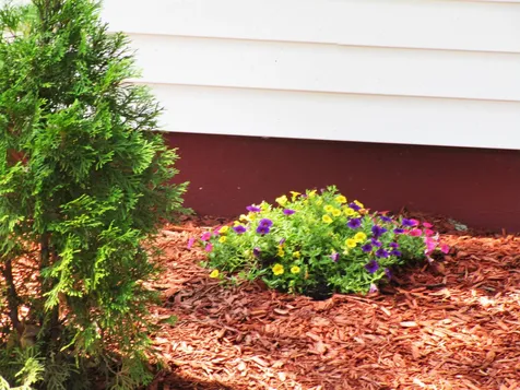 239 Broad Street Nashua NH 03063