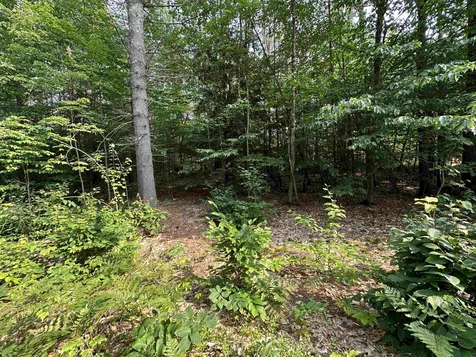 Lot 2 Wiggin Lane Tamworth NH 03886