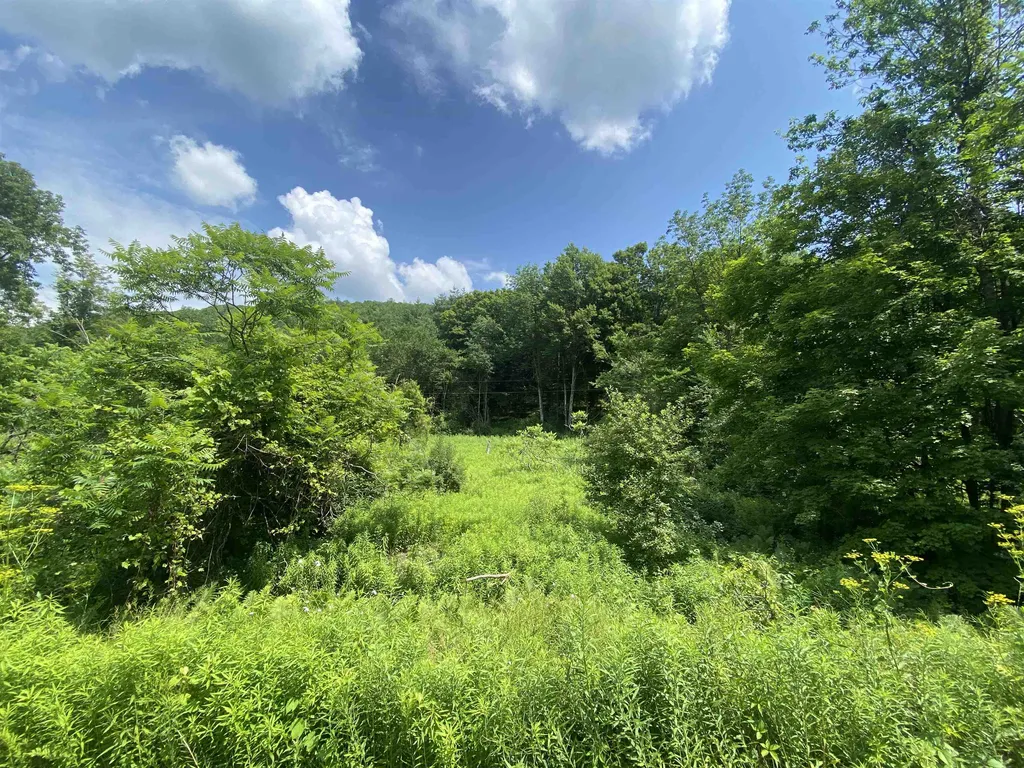 14 Barker Hill Road Castleton VT 05735