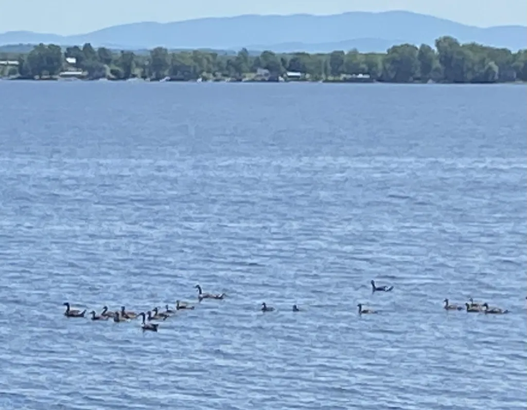 42 Pumphouse North Lane Alburgh VT 05440