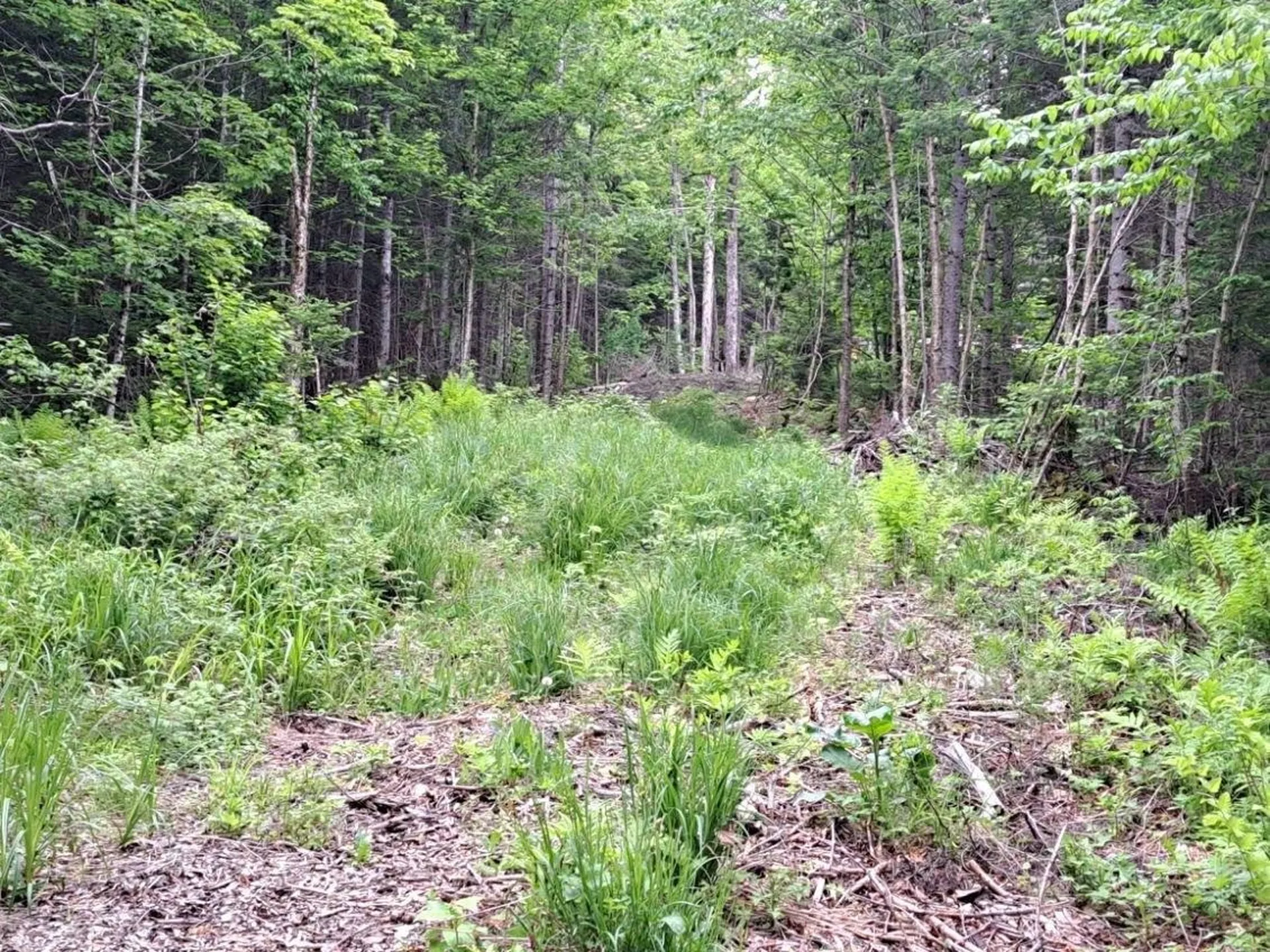 - Off Sugar Hill Road Stewartstown NH 03576