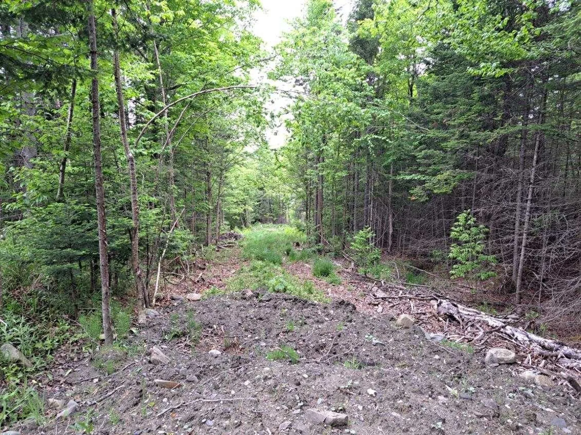 - Off Sugar Hill Road Stewartstown NH 03576