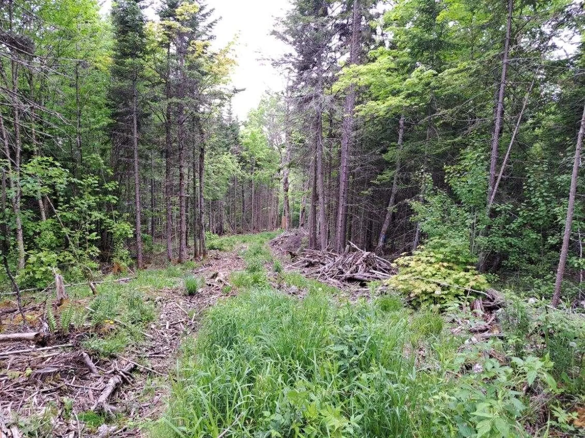 - Off Sugar Hill Road Stewartstown NH 03576
