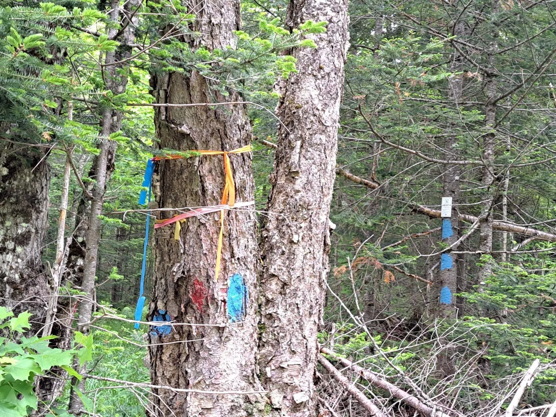 - Off Sugar Hill Road Stewartstown NH 03576