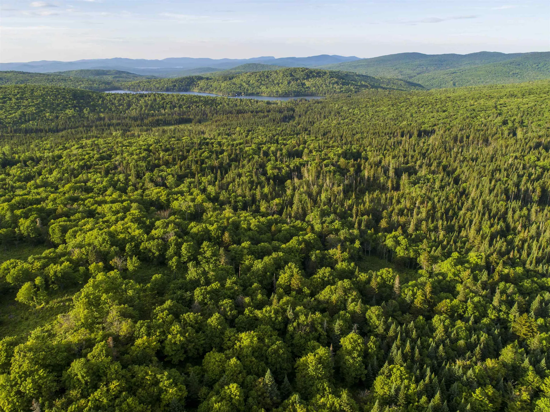 - Off Sugar Hill Road Stewartstown NH 03576