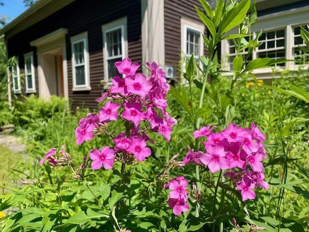 661 Green Mountain Road Effingham NH 03882