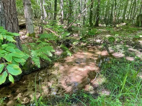 661 Green Mountain Road Effingham NH 03882