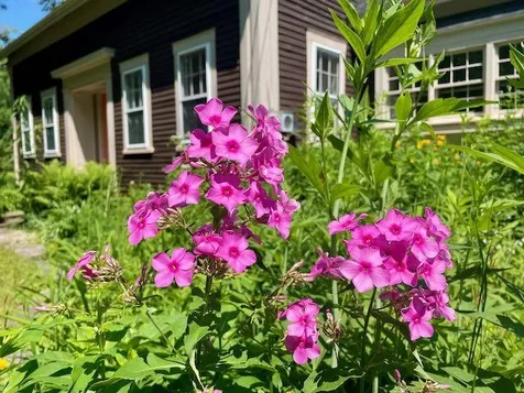 661 Green Mountain Road Effingham NH 03882