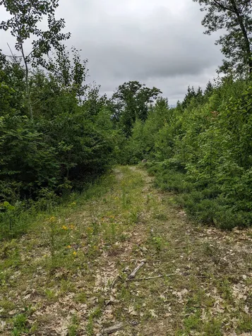 4 Timber Ridge Road Ossipee NH 03864