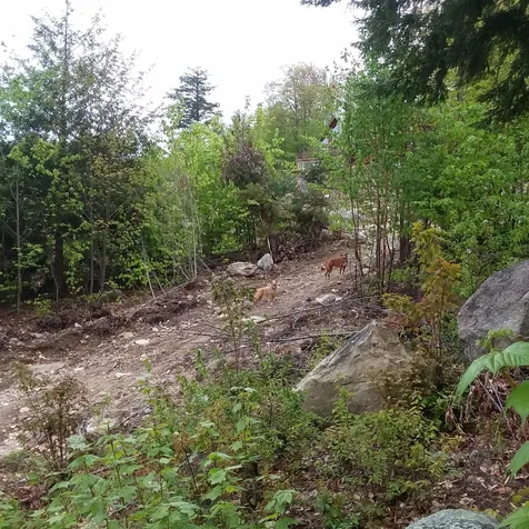 4 Timber Ridge Road Ossipee NH 03864