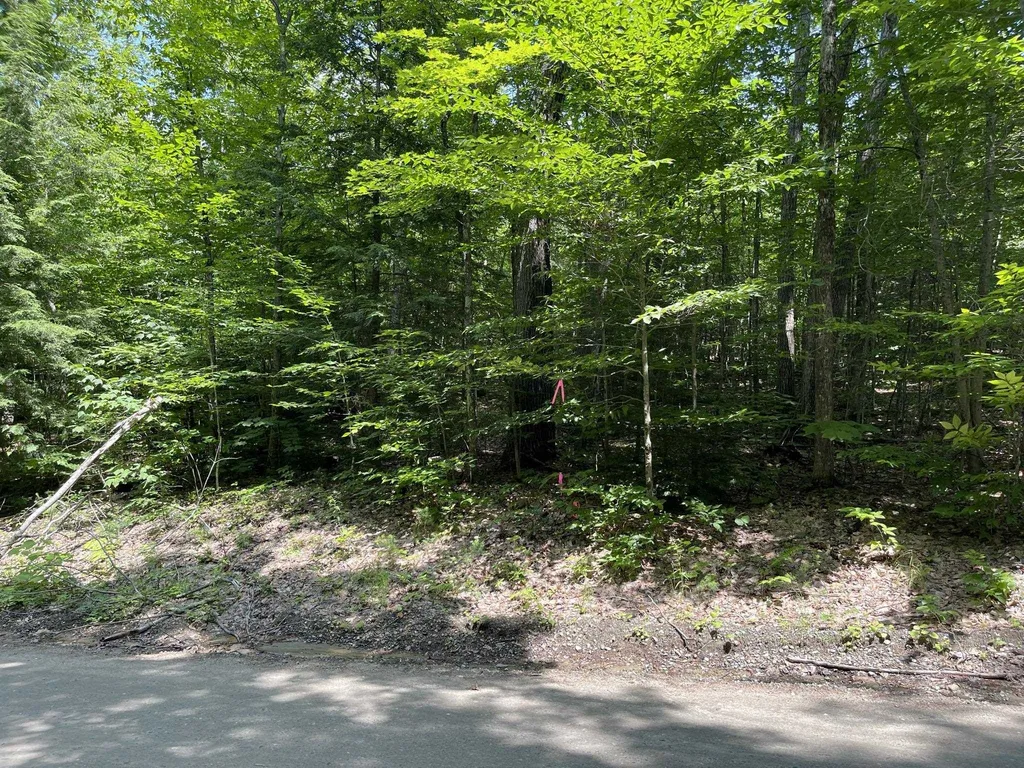 17-59 Fernwood Farms Road Canaan NH 03741