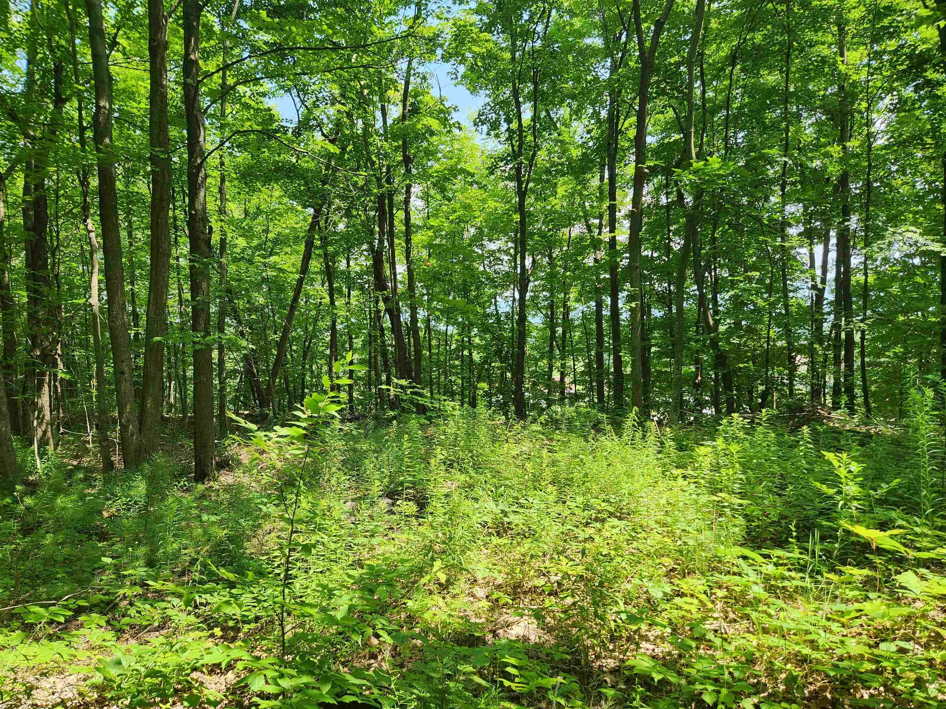 00 Halladay Road/route 7 Middlebury VT 05753