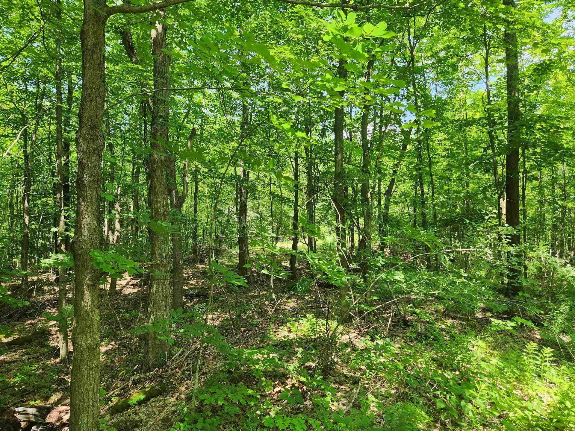 00 Halladay Road/route 7 Middlebury VT 05753