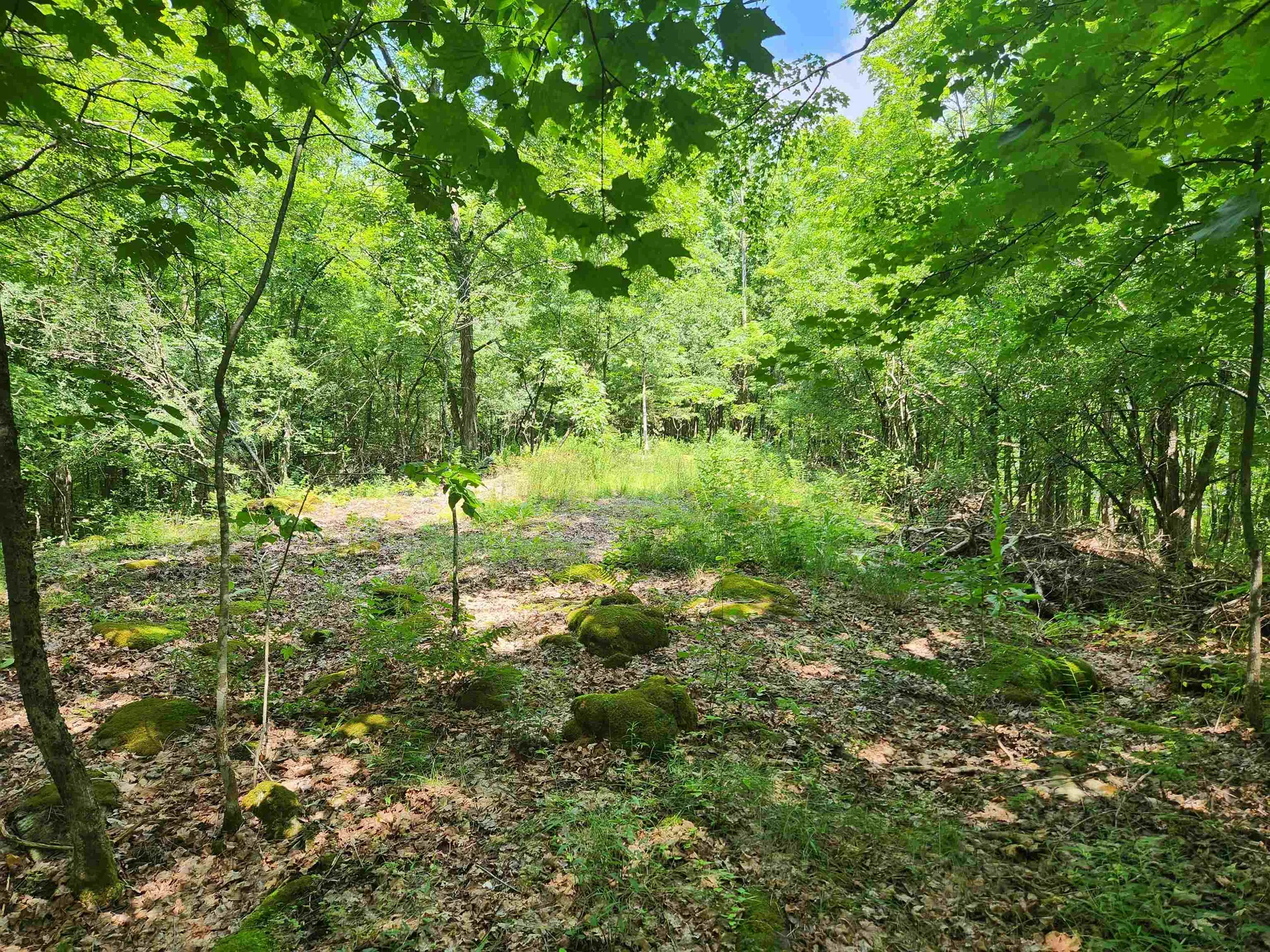 00 Halladay Road/route 7 Middlebury VT 05753