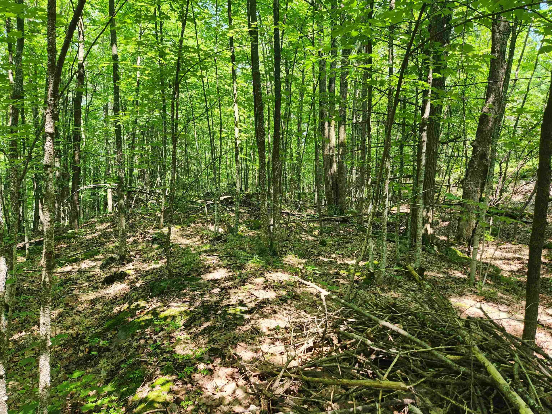 00 Halladay Road/route 7 Middlebury VT 05753