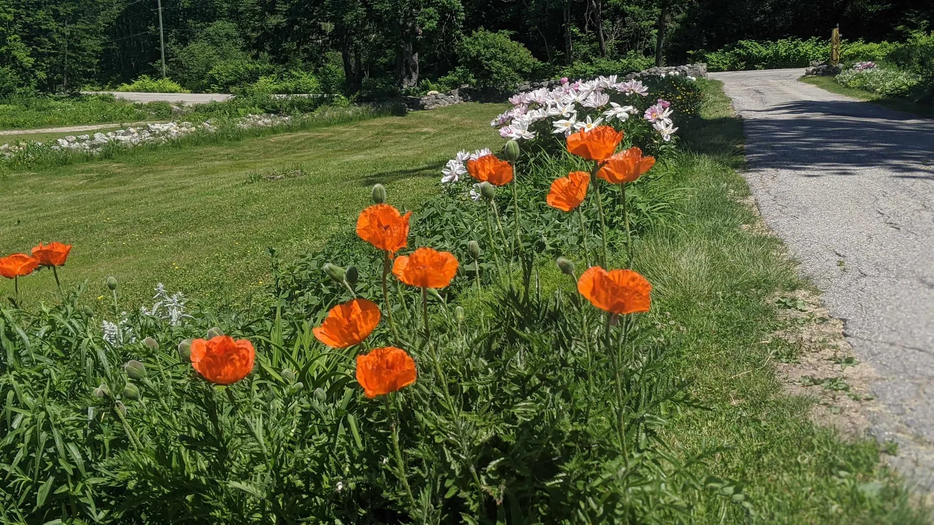 136 Stewart Road Eaton NH 03832