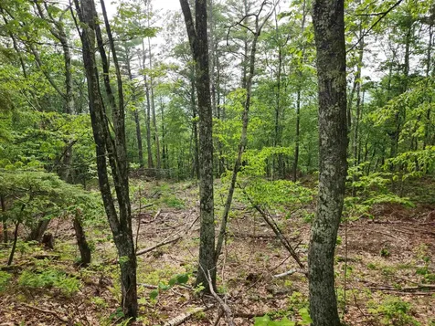 00 Monroe Road Bath NH 03740