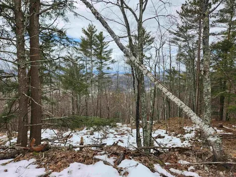 00 Monroe Road Bath NH 03740