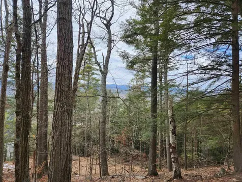 00 Monroe Road Bath NH 03740