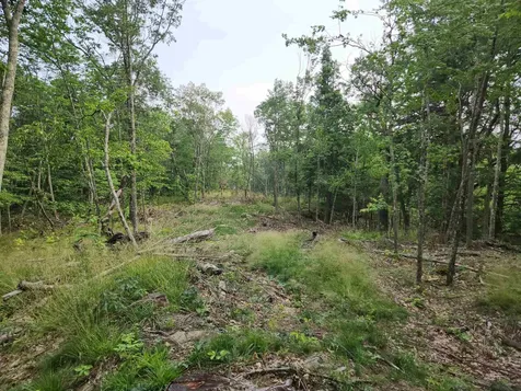 00 Monroe Road Bath NH 03740