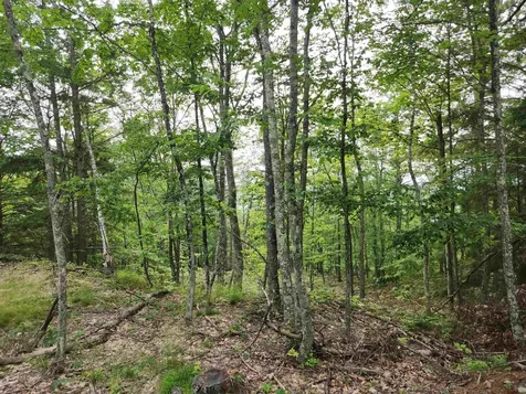 00 Monroe Road Bath NH 03740