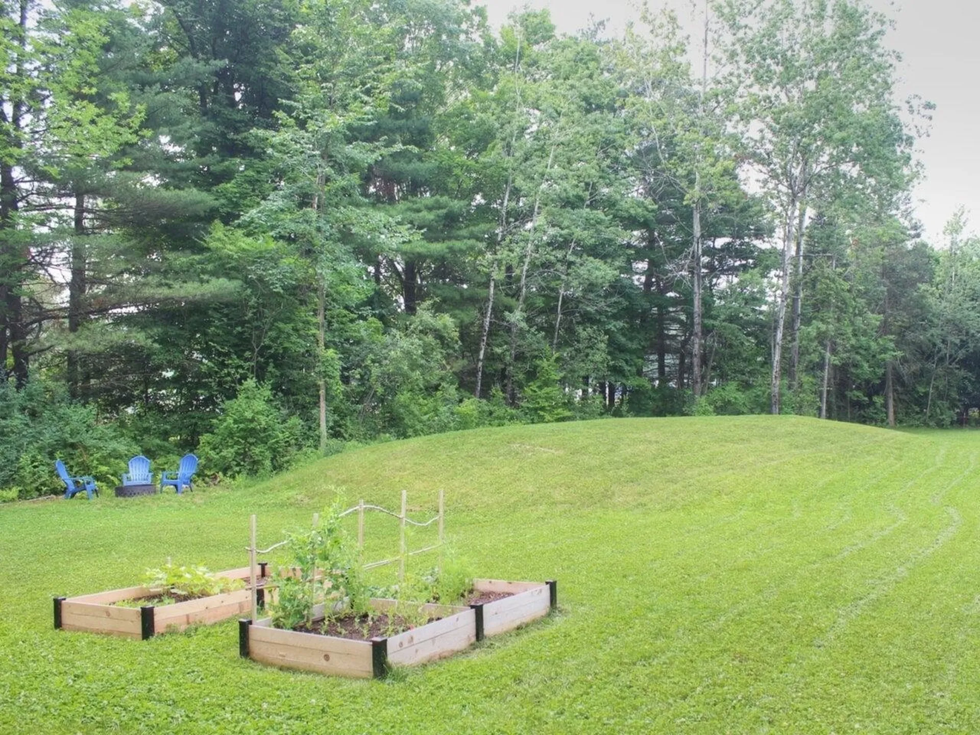 54 Bronson Lane Colchester VT 05446