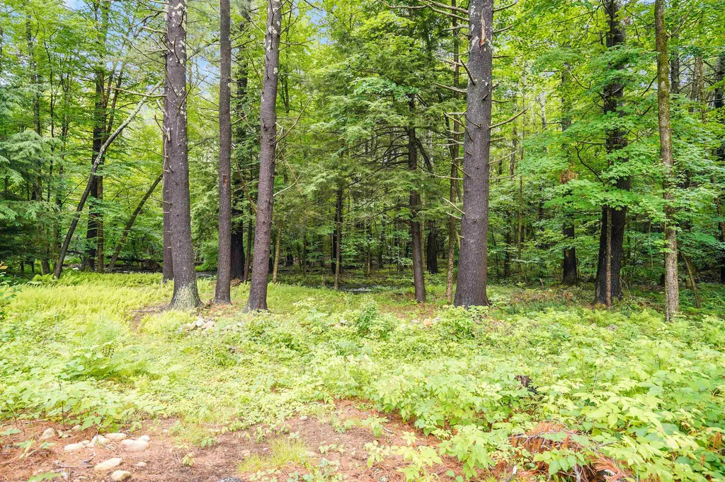 32 New Boston Road Amherst NH 03031